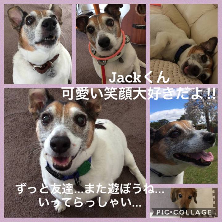 2828c0fc 67ed 4476 ba47 4f0a6c9fa6fb 1580477824329