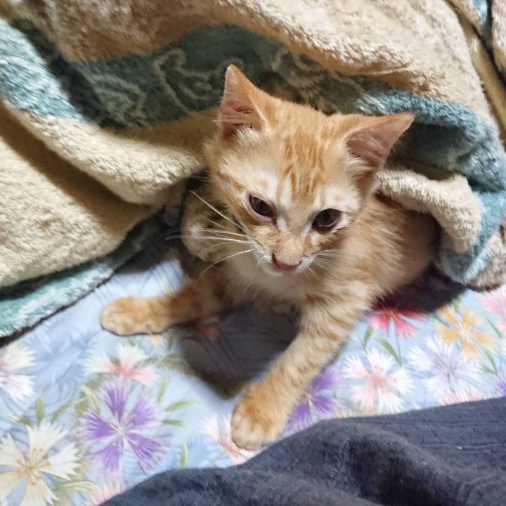 2828c99f ec3e 45fe 976f e7c8d4646e94 1630612723086