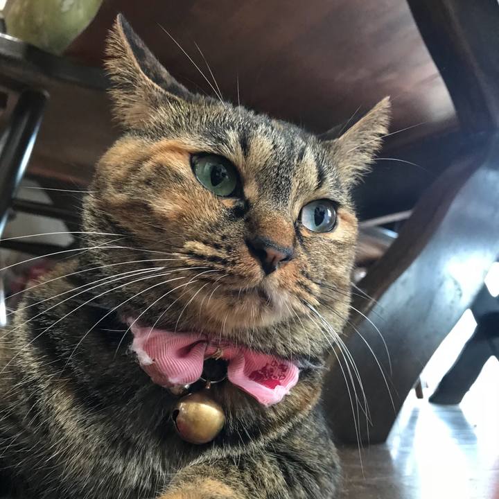 2828d3fe e726 4f54 9de9 30f94dcff8ce 1534323906991