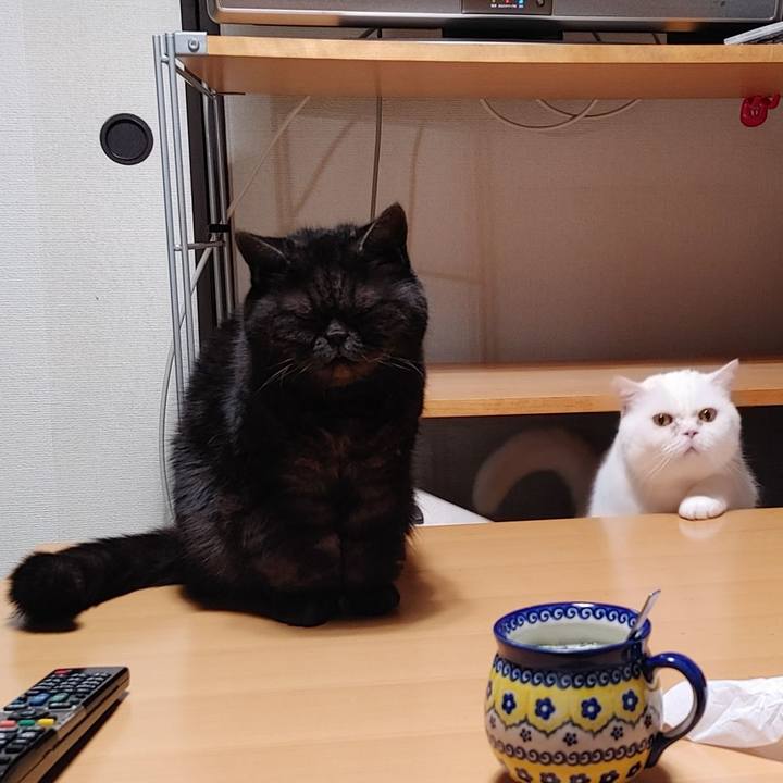 2828e5aa 16af 4d02 be98 e863b1f776aa 1646310856330