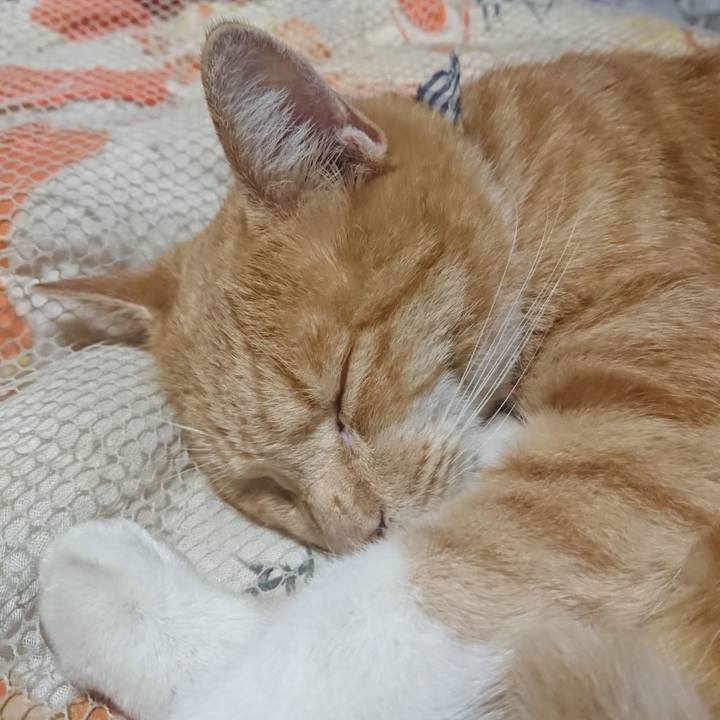 28292c18 8186 400c 8789 aa3105dff215 1572267819038