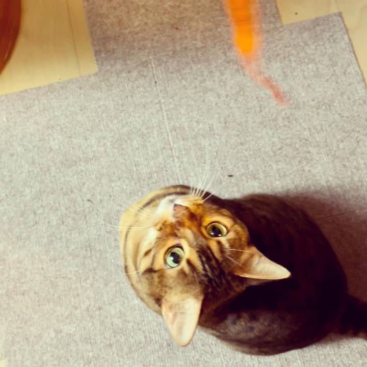 28293c66 a637 4e3c 8ab4 5927a263a0cb 1644376351698