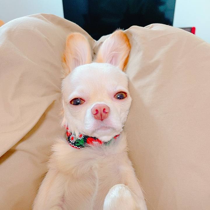 28294ffe 7143 4ee1 bdec 2105322593bd 1630109652402