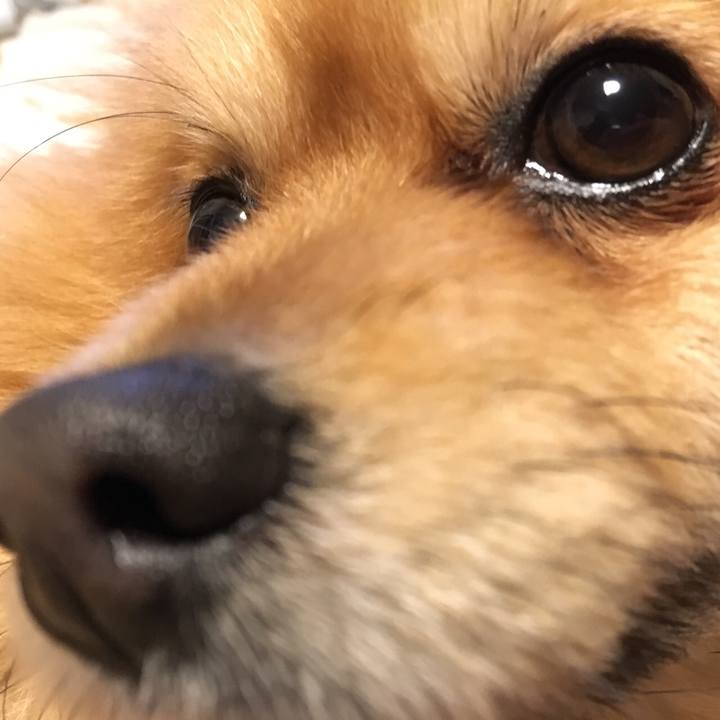 28296e5f 2768 499f 8ad3 7f599a75688c 1517607629903