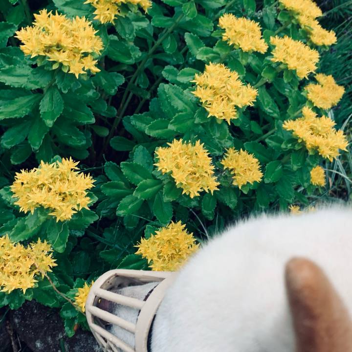 2829760d c092 4279 aa25 62e5b07244c5 1625521499381