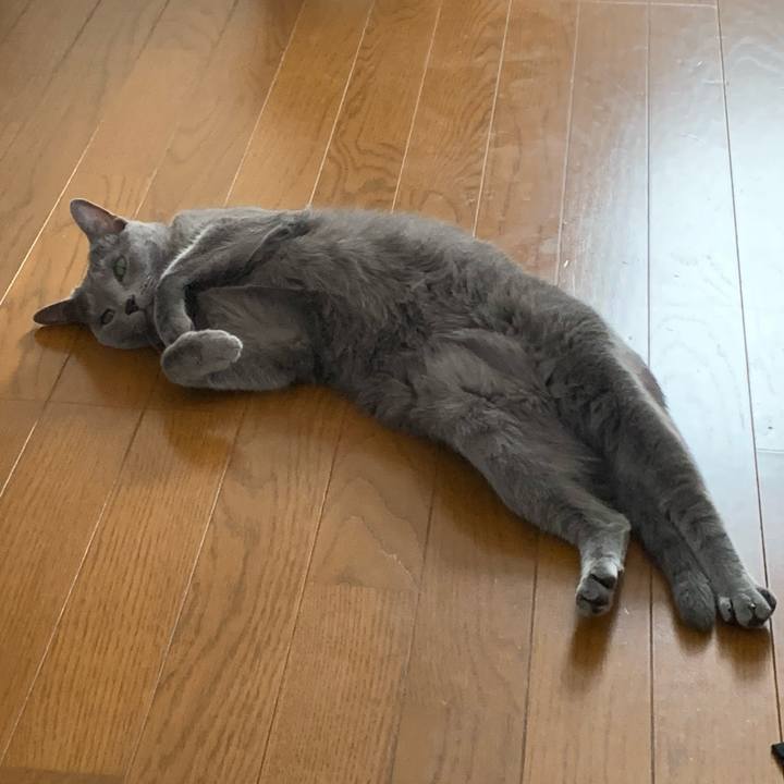 28297dbd e67e 48e2 8692 67506c9273f5 1633227134799