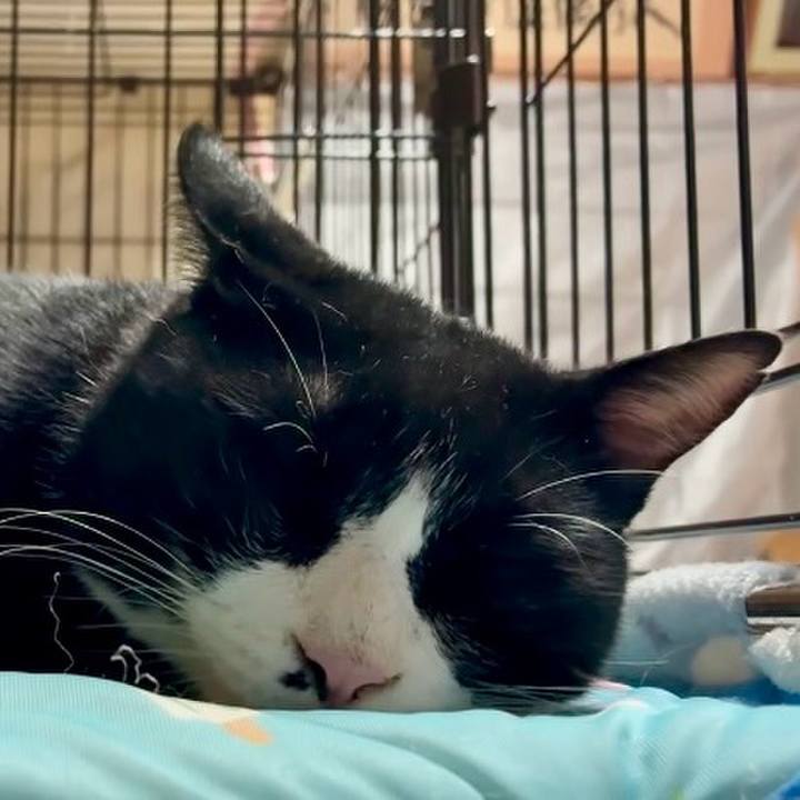 28298c6a 1c65 4620 8c07 3d09a26a7be7 1757592491762