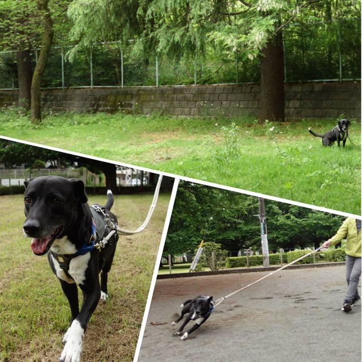 282997b1 dbc7 448f bebe 0cfa95494cdd 1651367373827