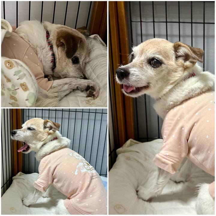 2829bc25 c3f9 4c1f 89fa 98251432e6cf 1747088114575