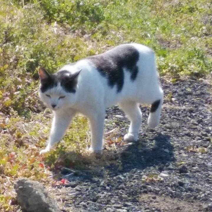 2829c0aa 49f7 4814 a842 0dcfe6c7094f 1618197357763