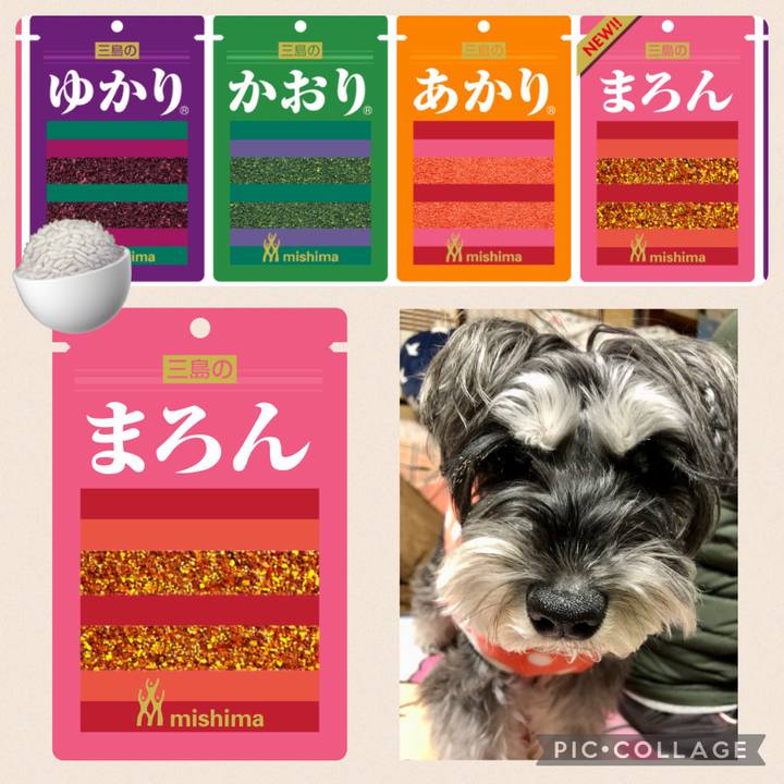 282a191d eb38 4387 ac51 d37c40688331 1706102951154