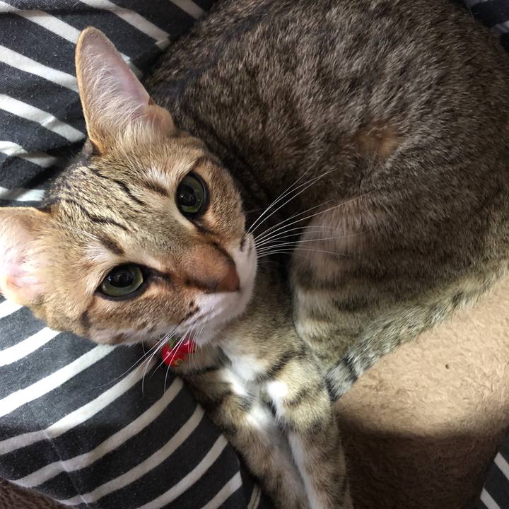 282a8c01 8258 4328 9a14 b721a52a2000 1623582349030