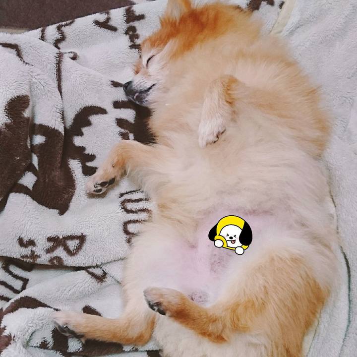 282aa67b b36e 44a2 b0e0 9ca4efc6878b 1515373431237