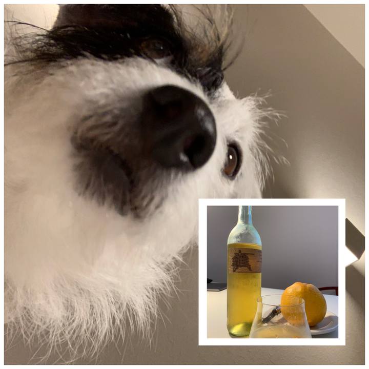 282ac831 067d 4d24 b07d 56fbf582a690 1555845556728