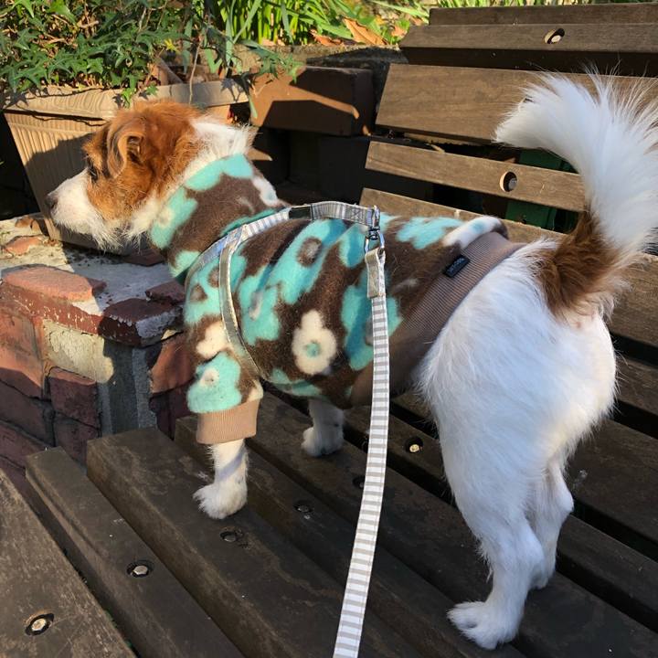 282b081c b4b9 4444 a038 50160a5cd754 1546125999018