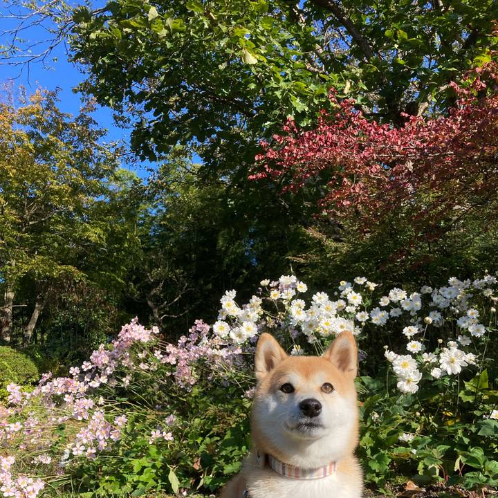 282b4a09 c5b2 4c71 8550 6b54d2eaf118 1698320710001