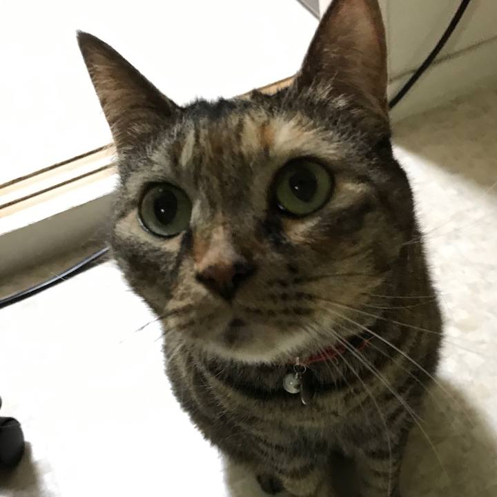 282b67e5 d839 4c63 8164 b3b7ba335522 1528461678638