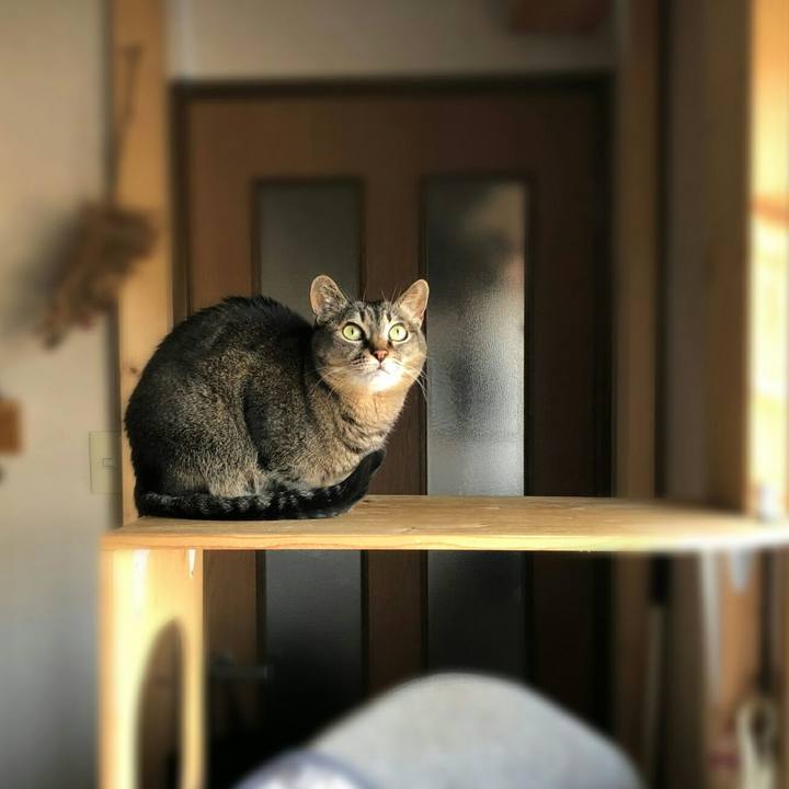 282b9fca 36fe 456b b4f6 18c1c848c9b1 1587078591445