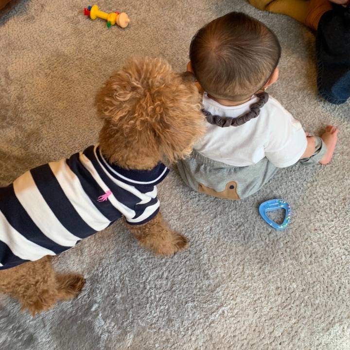 282bb82e bee7 47a4 831a cce0a62d2f5a 1651889824934