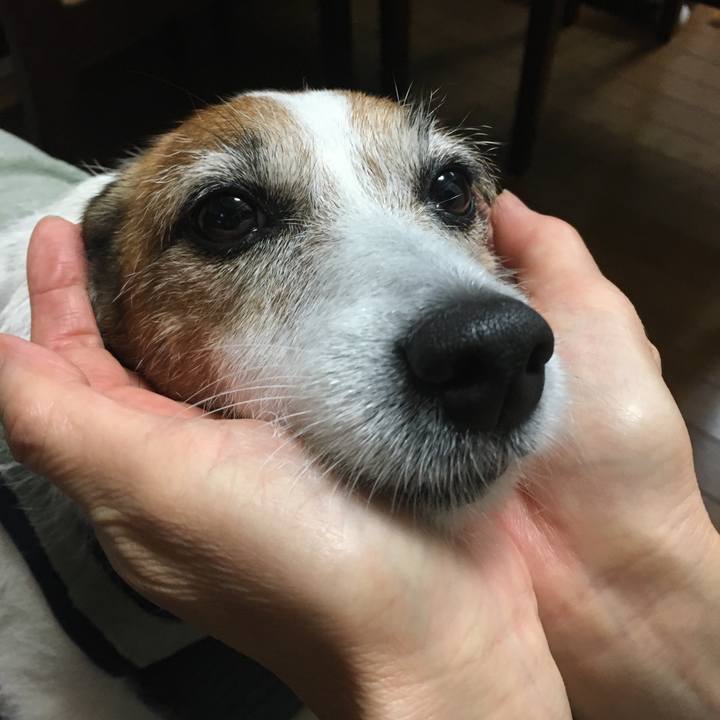 282bdc6c d9f9 487c a09e 5ebe2cf892da 1604618866196