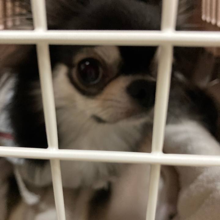 282be430 ddec 4ae0 a870 ef311a3b2e09 1642339187546