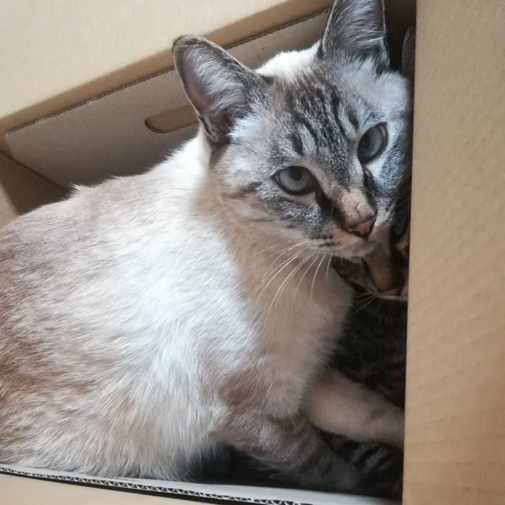 282c512b 276b 4669 bd14 4ac35f5b7798 1539511056323