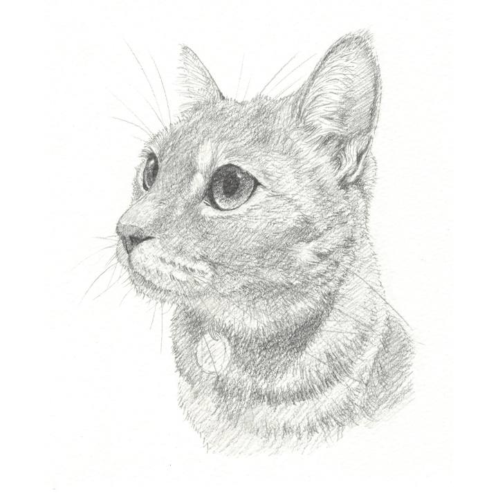 282c6a5a db42 468d 981d fcae3a830234 1543409038376