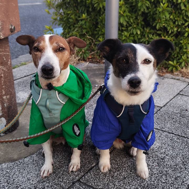 282c8308 3c9c 4698 ac53 a88d05c05fba 1743891328696