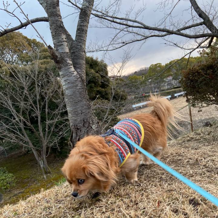 282c8eb3 1033 4649 b290 c5600a259c49 1611873539153