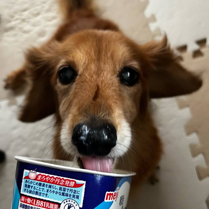 282cae5b 160b 41f8 8daf 503840c55f1e 1665228431967