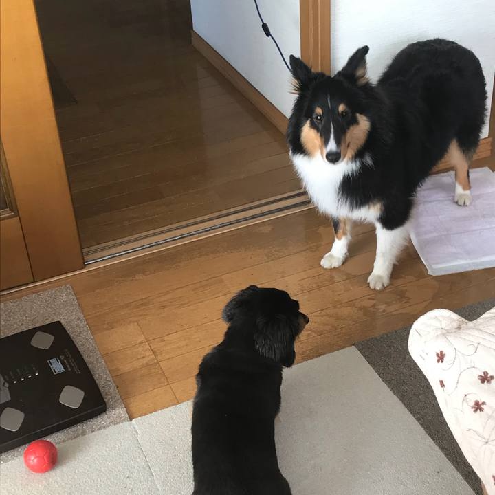 282cc3fc a643 4339 aee0 d530e6b7fb54 1526854435697