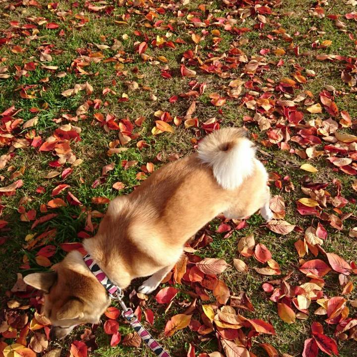 282ccdbc 373d 4de4 b571 aadb23b8922d 1509171581936