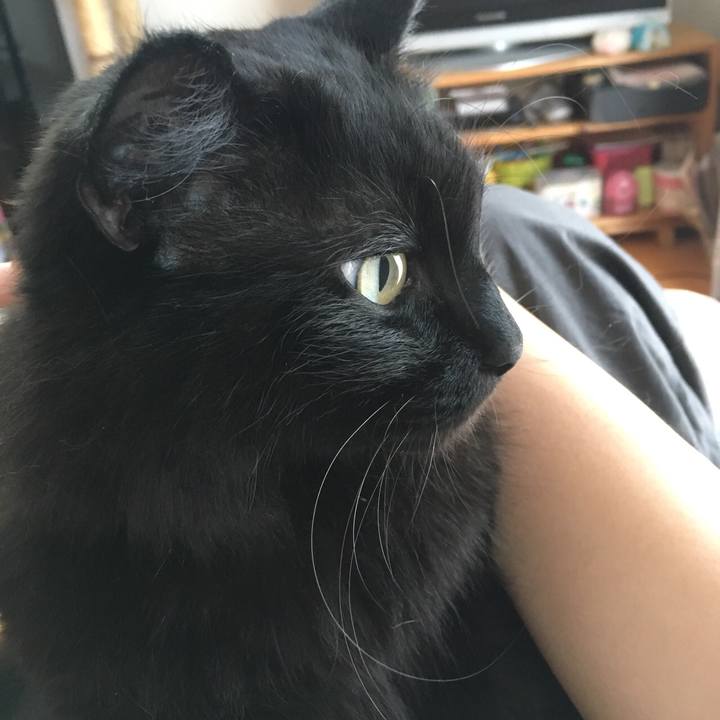 282cddb7 831d 4199 a617 33d8b86dc97c 1531210099251