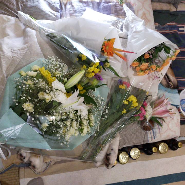 282cf6a3 1bae 4167 b0be fd9c1555bb36 1627010592360