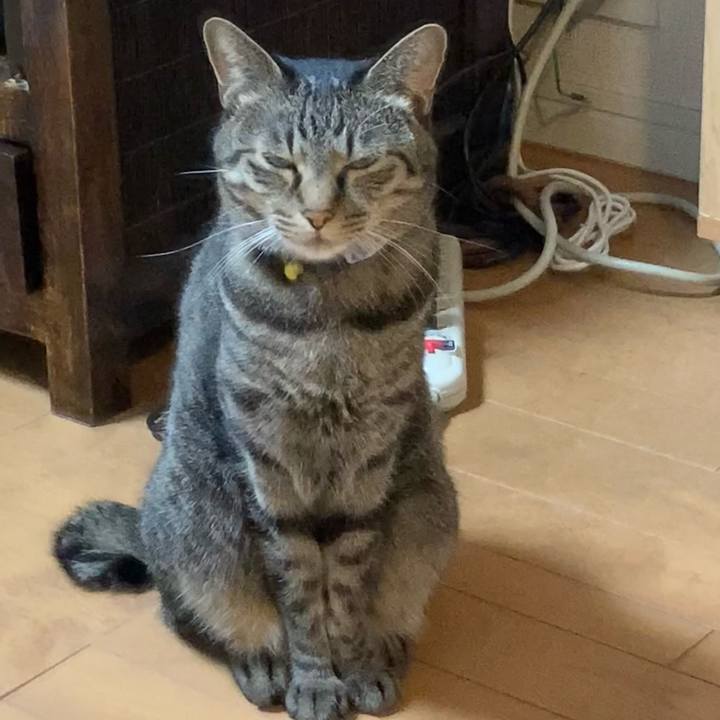 282cfb61 4271 405f 8c1b 39226bc5170a 1606374612637