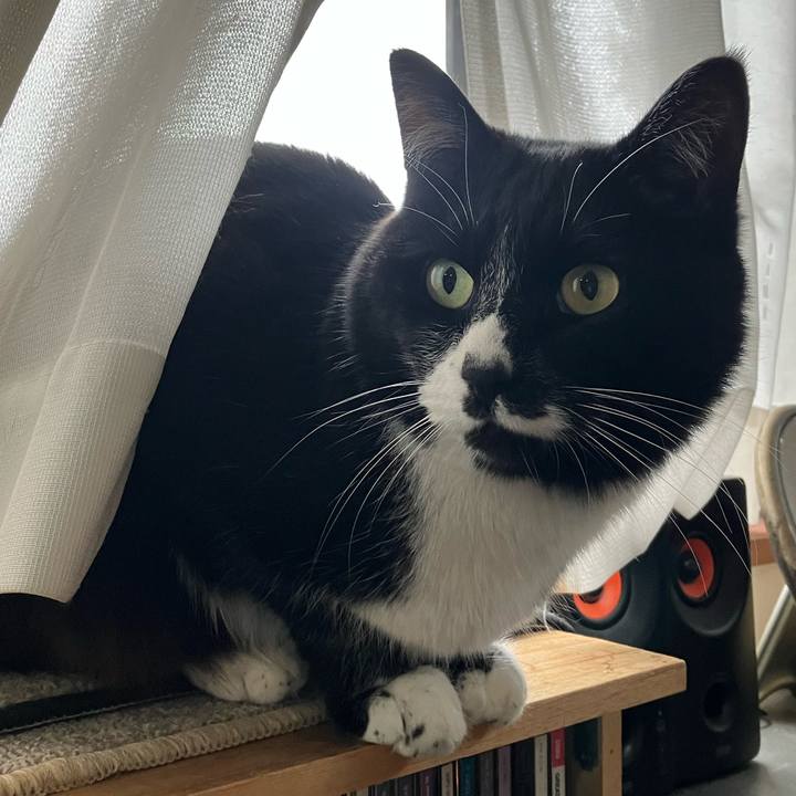 282d24cb eef5 446b 991d 6d233190d046 1682307238647