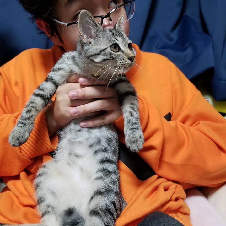 282d2584 15bc 416b 967b a5b976e9f41d 1667353830186