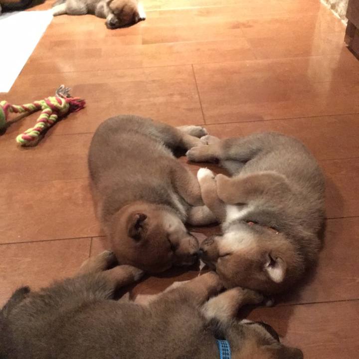 282d3556 4744 4938 962f 326112dd1179 1575682779323