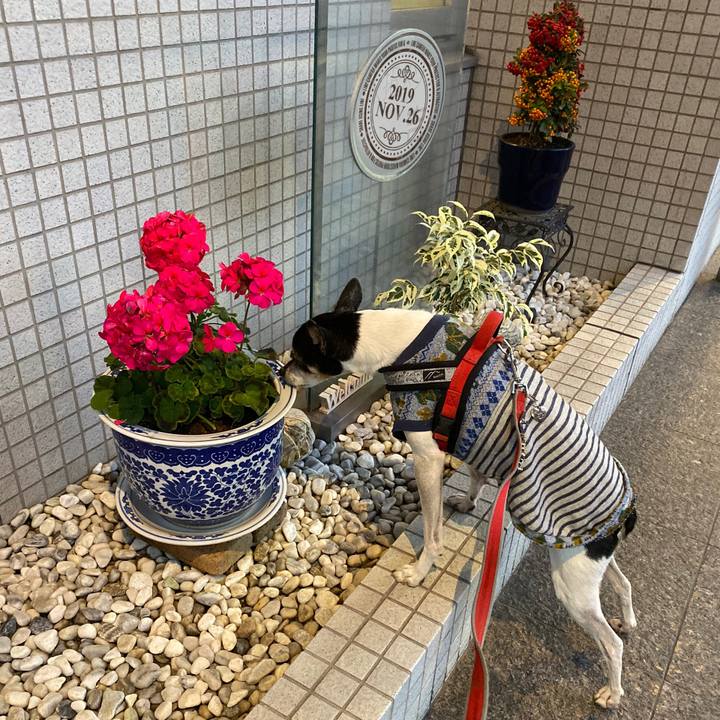 282d533a 6d16 4d3c 8a64 9a0d741e8397 1574775720584