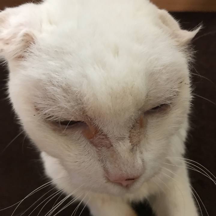 282d5658 c7bf 48b8 a33b de7d8dc3bb3c 1531889619292