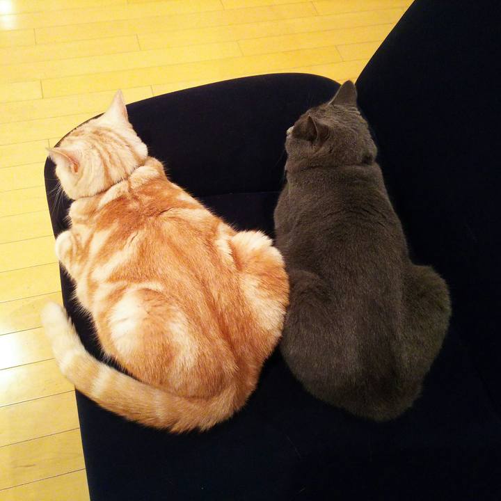 282d6ada 7481 46ec 8fbe dad721c60f7c 1510751973626