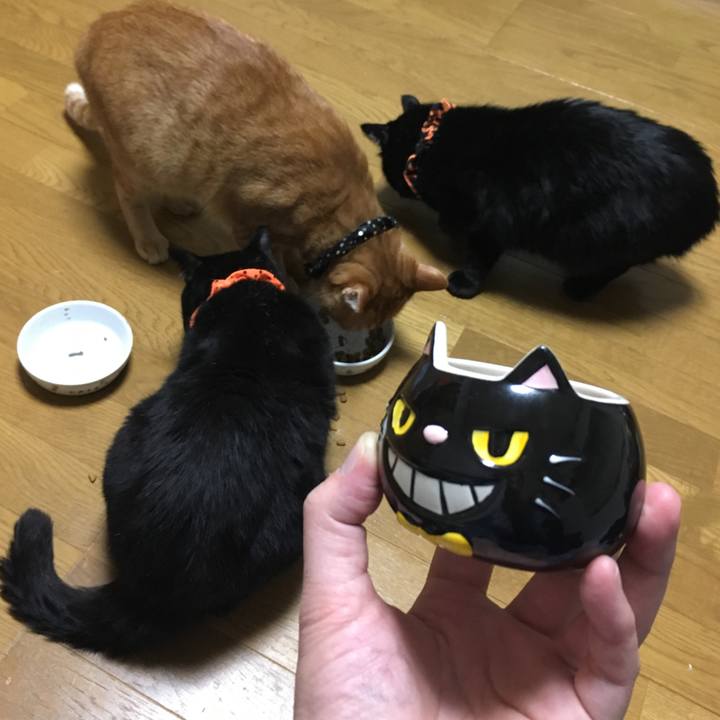 282d6df5 0cc3 4d50 a97e f41ad232eaa4 1540893899274