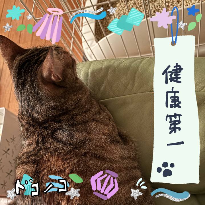 282d98d5 9aa3 4935 ac11 0296f1b9796f 1720874190139