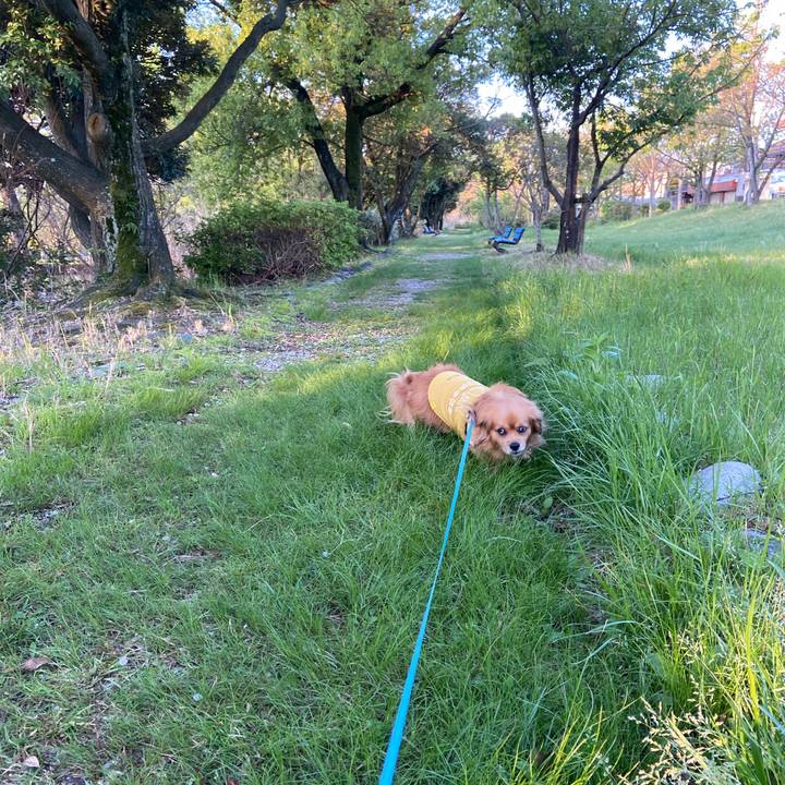 282dc1c6 3e1f 4a86 9213 5d4b3d9d0866 1617917596233