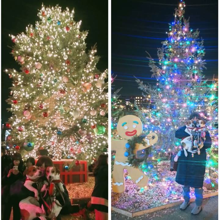 282dd373 494e 468e 9b2f a889234ad6ee 1766041958903