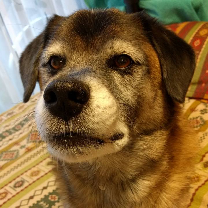 282de4d3 993f 41b3 9e05 3b22c87811d9 1508995001191