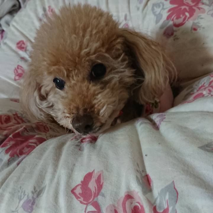 282dea81 65e3 4a5f 8b93 f16cccf18c77 1578836355740