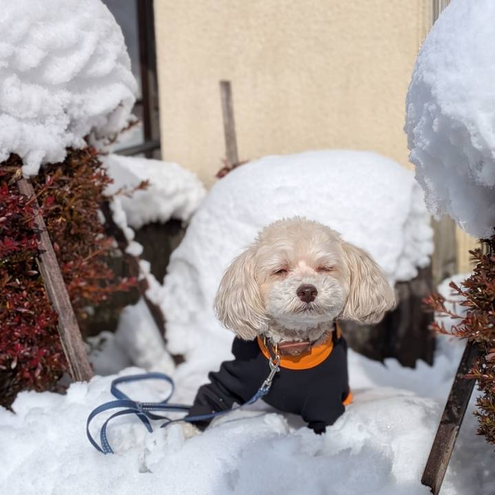 282df253 ff09 4dd3 a372 5dadf907df9f 1767318445602