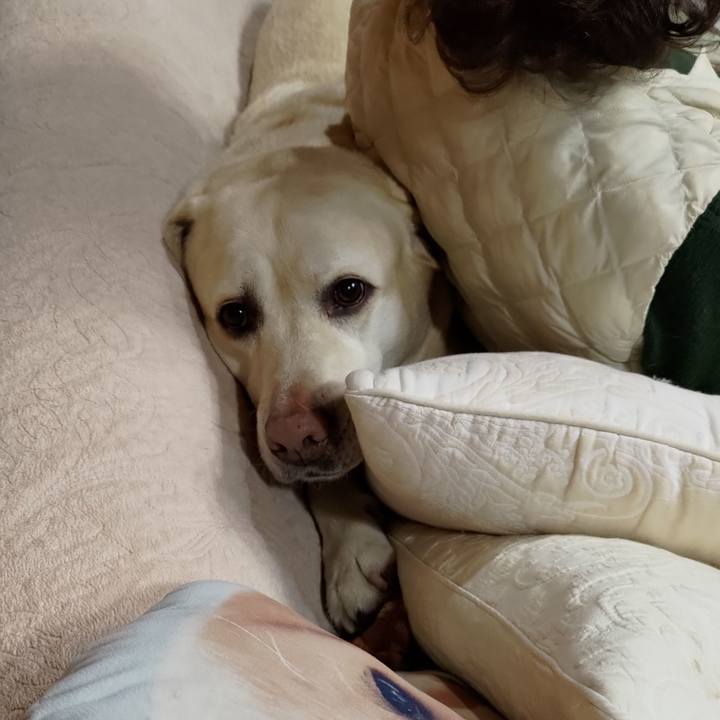 282df30f 887c 4ccc b002 14aeef5053b5 1706183255395