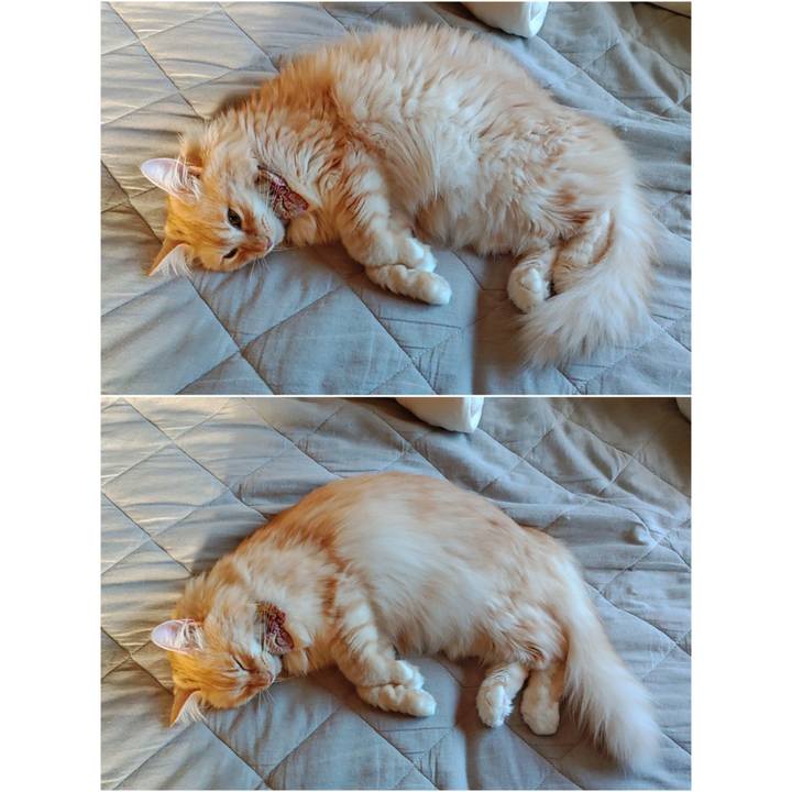 282e086c d4f0 425e bfc4 f3cc2f749919 1694557076243